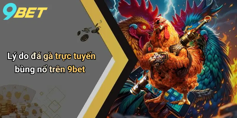 Lý do đá gà trực tuyến bùng nổ trên 9bet
